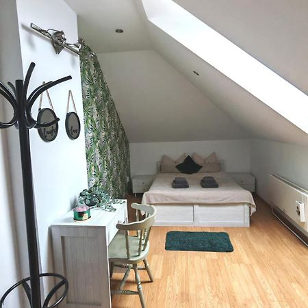 Brasov Cucu Residence Экстерьер фото